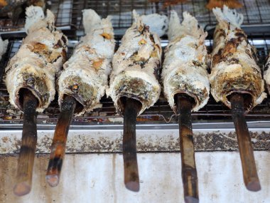 Yılan kafa balık ızgara