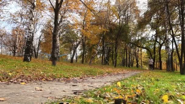Female runner jogging in park in autumn park forest in fall colors — Stock Video