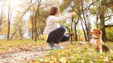 beagle yavru köpek sonbahar Park ile oynayan kız