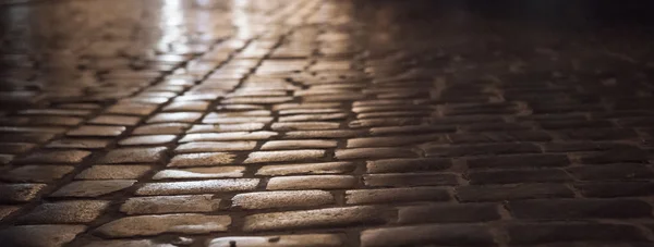 eski şehri lviv, Ukrayna: gece kaldırım taşı sokak