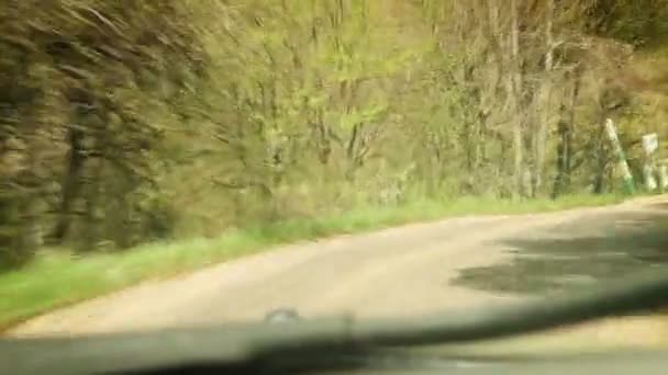 Bergstrasse: Rallye-Rennwagen Windschutzscheibe Innenansicht — Stockvideo