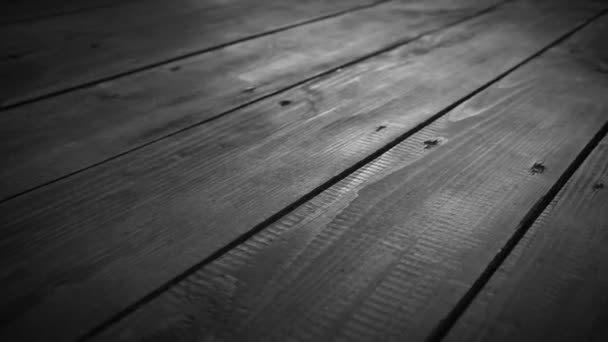 Movimiento blanco y negro Malecón de madera piso deslizante dolly — Vídeos de Stock