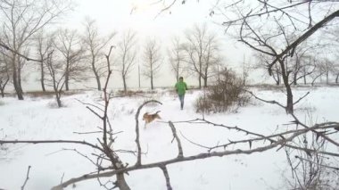 erkek beagle köpek kış parkı ile çalışır.