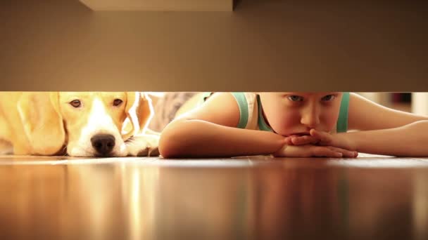 Lachen kleine jongen met zijn beste vriend beagle hond onder het bed — Stockvideo