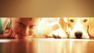 onun en iyi arkadaşı beagle köpek yatağın altında olan küçük çocuk gülüyor