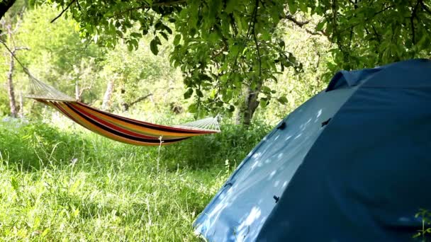 Camping utrustning: turistiska tält och hängmatta mellan träden — Stockvideo