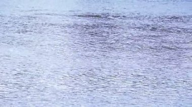 Güneş deniz dalgaları sakin desenle yansıma ışık