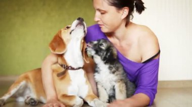 genç erkek ile iki sevimli köpek ev Laminat zemin üzerinde çalış.