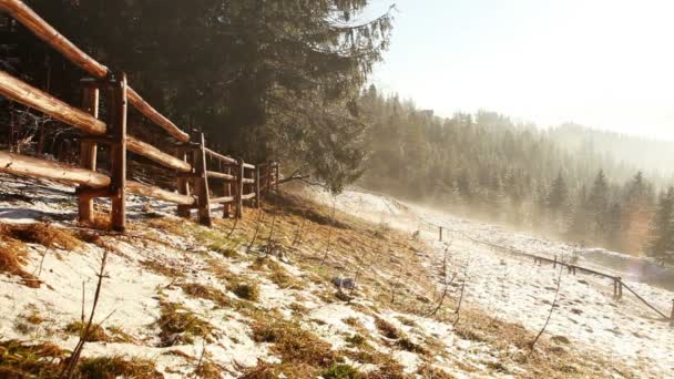 Foggy spring morning. Mist flows between firs. Tatra Mountains — Stock Video