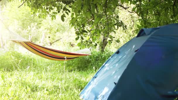 Camping-Ausrüstung: touristische Zelt und Hängematten zwischen den Bäumen — Stockvideo