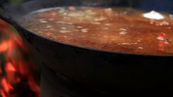 Adición de ajo de preparación de Pilaf Afganistán, Uzbekistán, Tayikistán cocina nacional plato — Vídeos de Stock