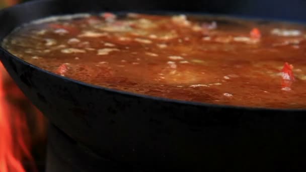 Adición de ajo de preparación de Pilaf Afganistán, Uzbekistán, Tayikistán cocina nacional plato — Vídeos de Stock