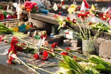 Kiev, Ukrayna - ö. 12 Nisan 2014: Ukrayna devrim. euromaidan.p