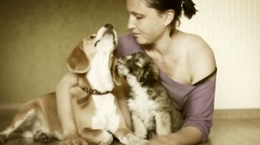 genç kadın, iki sevimli köpek ev Laminat zemin - siyah beyaz