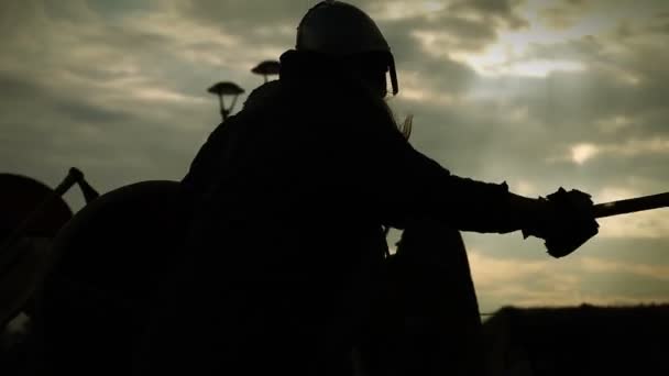 与剑、 斧、 盾牌的勇士的战斗： 剪影 — 图库视频影像