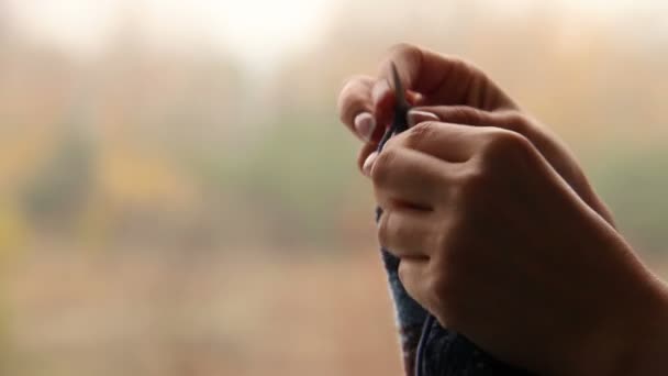 Woman's hands knitting with blurry autumn background — Stock Video