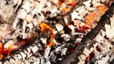 firebrands piknik kamp ateşi arka plan