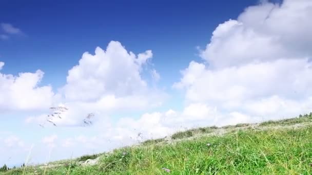 Mujer con perro beagle caminando en las montañas con nubes — Vídeos de Stock