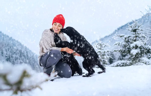 Ung Kvinna Varma Kläder Med Två Hundar Snöig Vinter Scen Stockbild