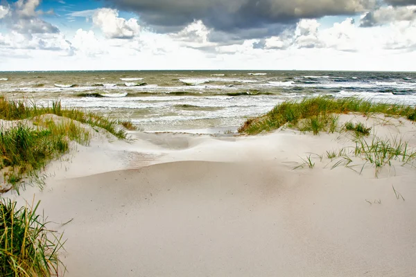 Kusten av Östersjön, Litauen — Stockfoto