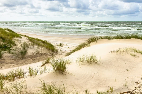 Sand dunes — Stock Photo, Image