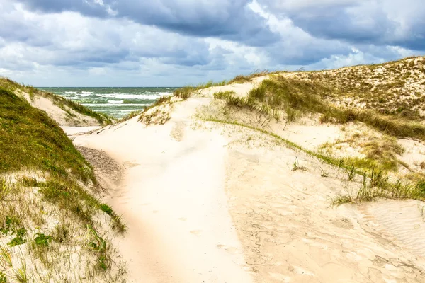 Sand dunes — Stock Photo, Image