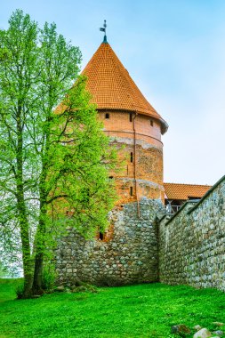 Kale kule. Trakai Litvanya