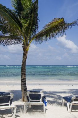 riviera maya, Meksika tropikal plaj