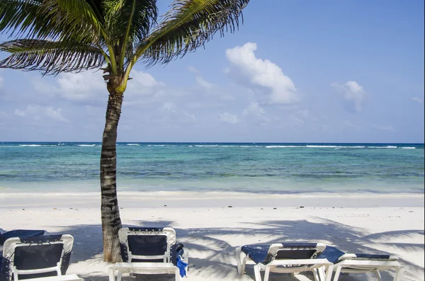 Spiaggia tropicale in Riviera Maya, Messico — Foto Stock