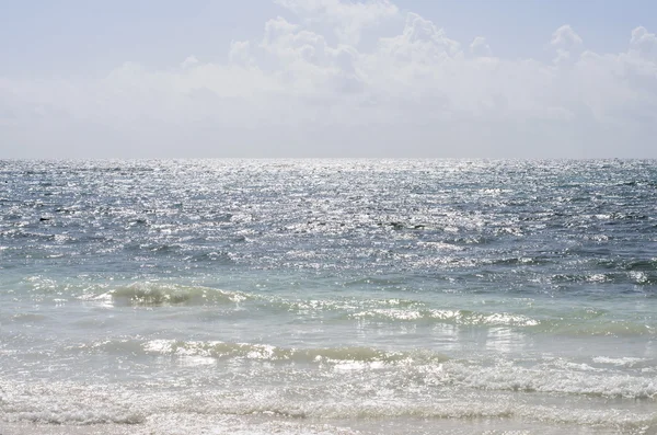 Tropical beach in Riviera Maya, Mexico — Stock Photo, Image