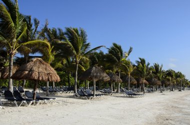 riviera maya, Meksika tropikal plaj