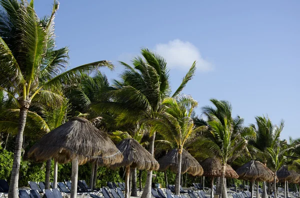 Tropiska stranden i riviera maya, mexico — Stockfoto