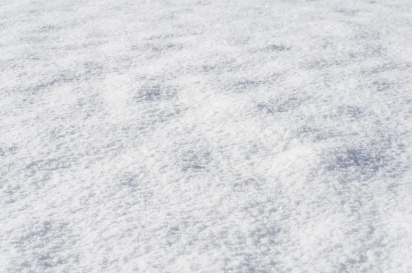 kar fırtınası sonra taze kar