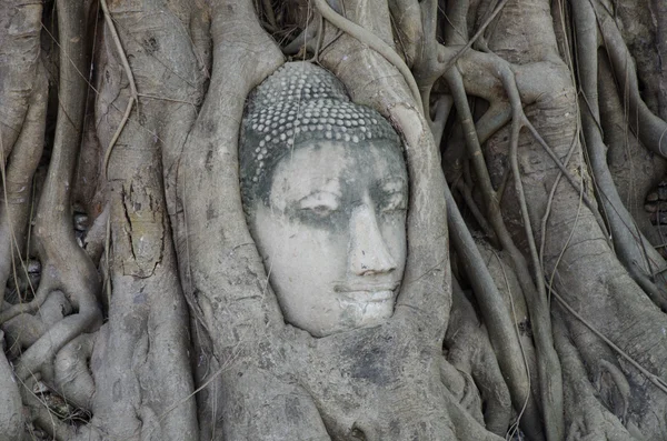 Wat phra mahathat in Ayutthaya, Thailand — Stockfoto