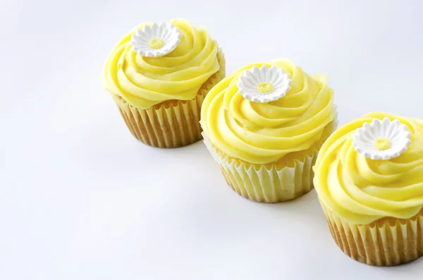 Daisy cupcake — Stock Photo, Image