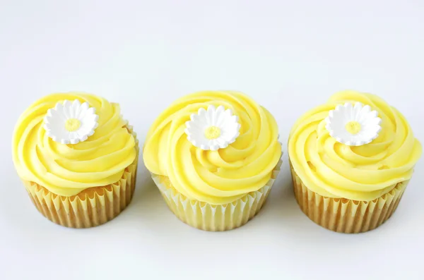 Daisy cupcake — Stock Photo, Image