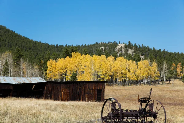 Colorado Mountain Covered Colorful Aspen Trees Fall — Stock Photo, Image