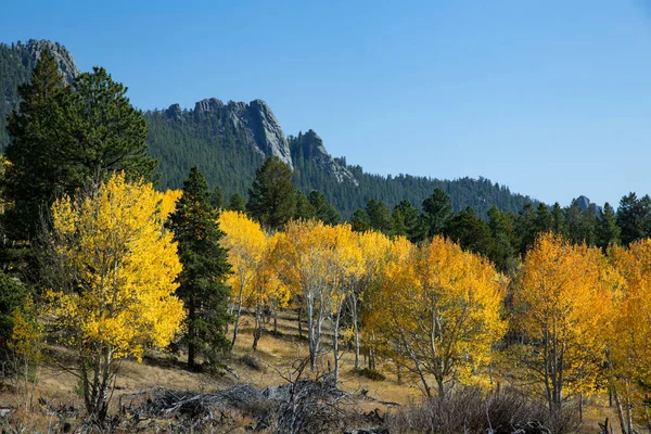 Colorado Mountain Covered Colorful Aspen Trees Fall — Stock Photo, Image