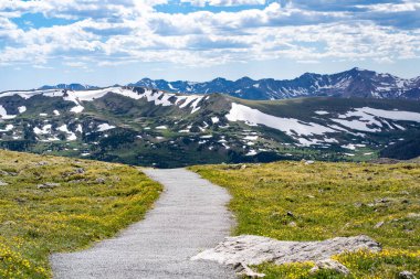 Colorado 'daki Rocky Dağı Ulusal Parkı' nda yürüyüş yolu.