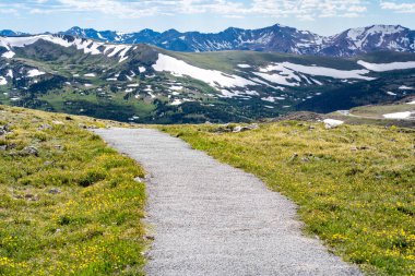 Colorado 'daki Rocky Dağı Ulusal Parkı' nda yürüyüş yolu.