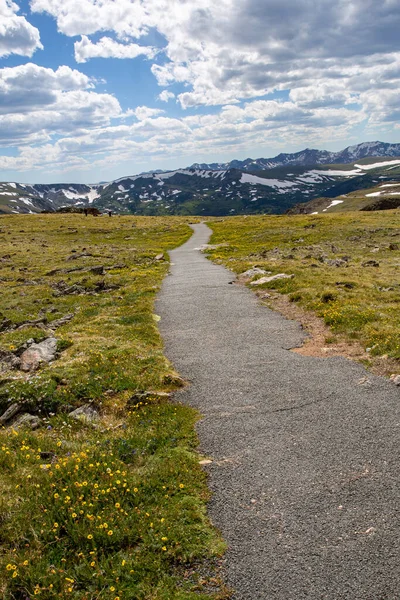 Hiking Trail Rocky Mountain National Park Colorado — ストック写真