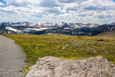 Colorado 'daki Rocky Dağı Ulusal Parkı' nda yürüyüş yolu.