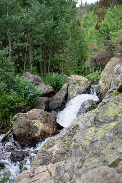 Agua Clara Corriendo Río Montaña Parque Nacional Las Montañas Rocosas — Foto de Stock
