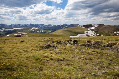 Rocky Dağı Ulusal Parkı 'ndaki Trail Ridge Yolu manzarası.