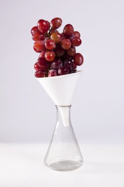 Grape Science clipart