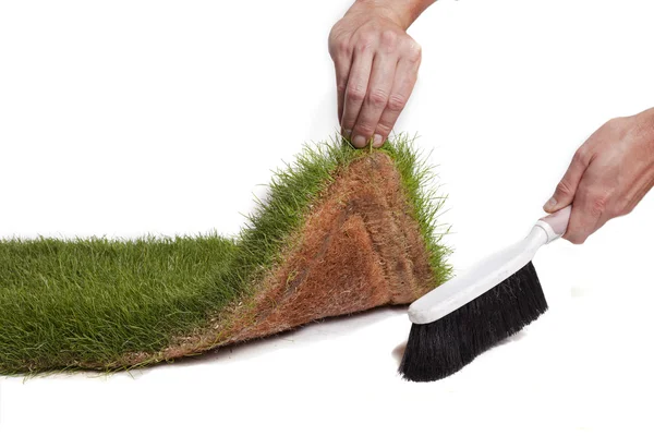 Sweep unter dem Gras — Stockfoto