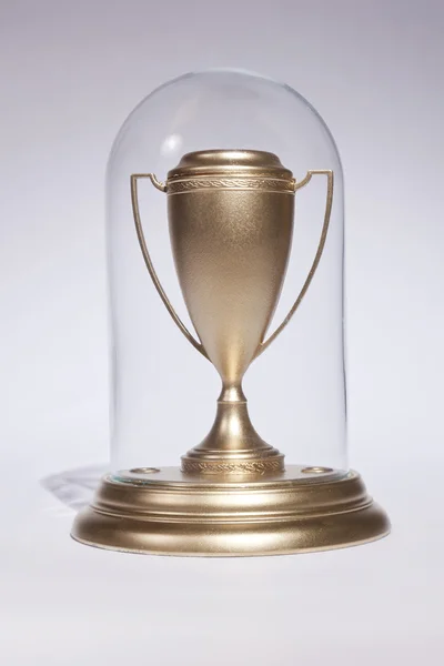 Trophy Display — Stock Photo, Image