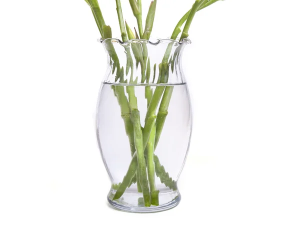 Stiel und Vase — Stockfoto