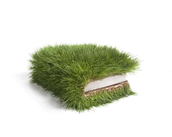 Grass Book — Stock Photo, Image