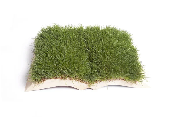 Libro dell'erba — Foto Stock